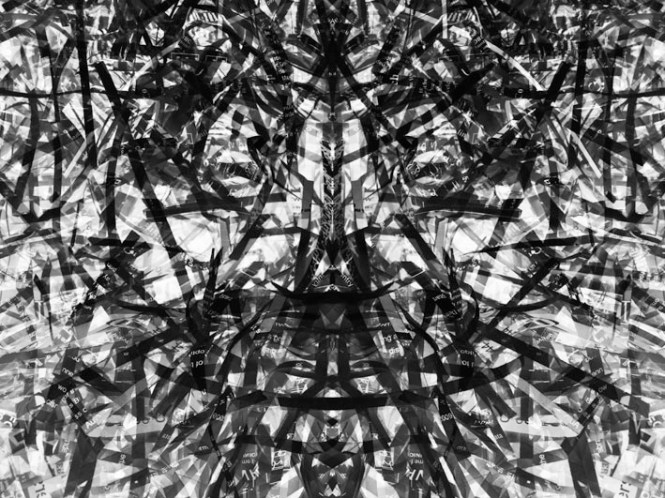 Untitled © Denise Startin