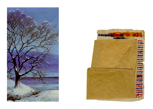 A Curious Love Letter  © Denise Startin 2013