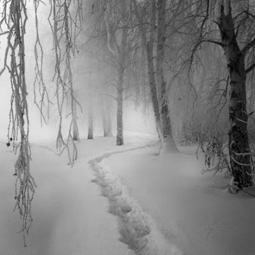 Winter Path