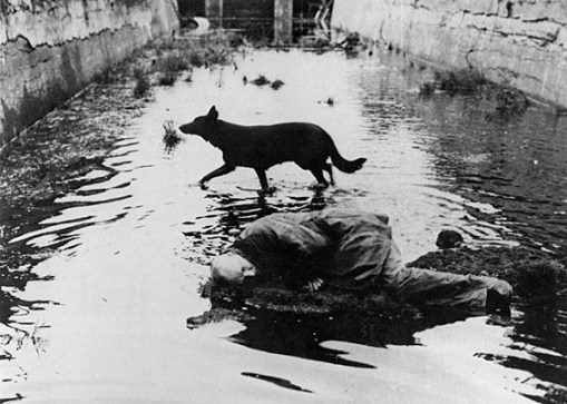 Still from Andrei Tarkovsky, Stalker, 1979
